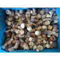 IQF Frozen Boletus Edulis Whole and Cut